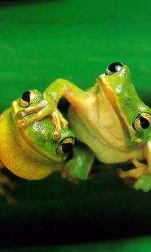 Funny Frogs Jigsaw Puzzles screenshot 3