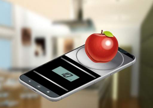 DIGITAL GRAM SCALE / SIMULATOR screenshot 2