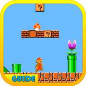 Guide for Super Mario 1.0