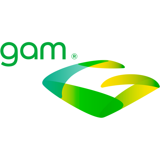 GAM TALENTOOL icon