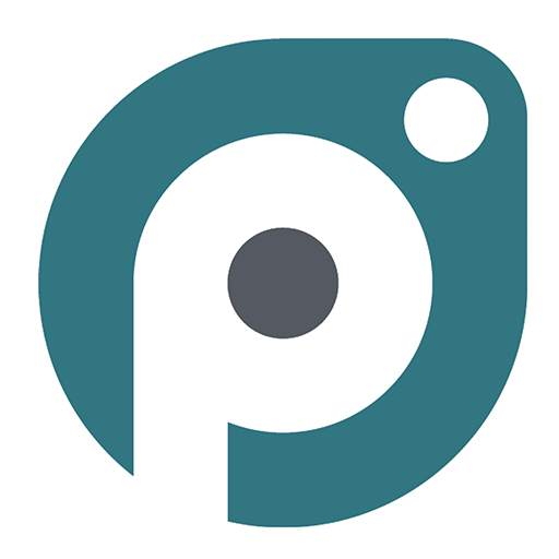 Picstructions 4.5