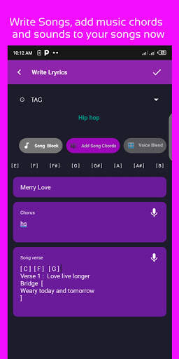 Song: writer lyrics-PRO screenshot 4