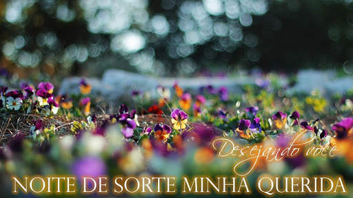 Imagens com Frases de Bom Dia Amor 4 تصوير الشاشة