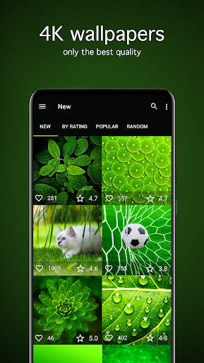 Green Wallpapers 4K screenshot 2