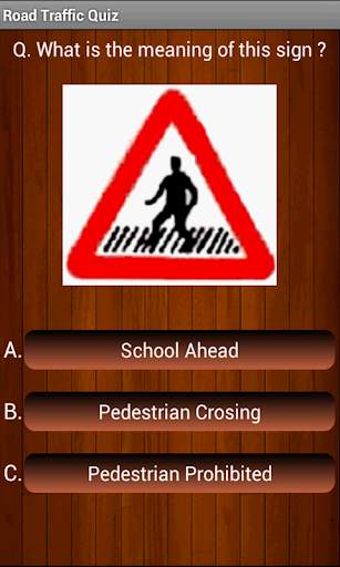 Driving Test screenshot 8