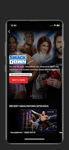 WWE screenshot 3