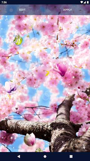 Flower Blossom Live Wallpaper screenshot 7