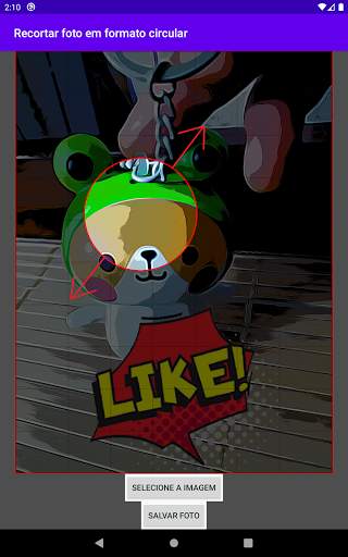Recortar foto em formato circular screenshot 13