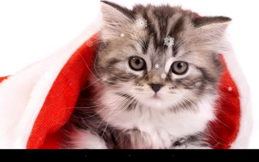 Christmas Cat Live Wallpaper screenshot 5