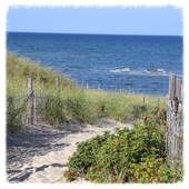 Cape Cod icon