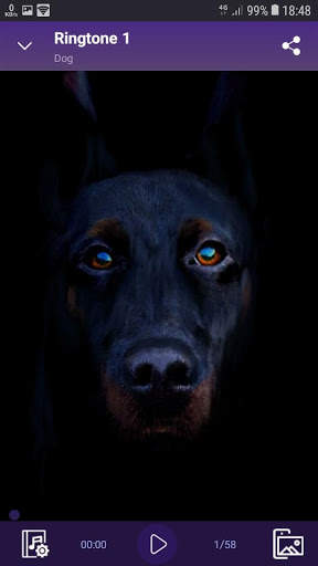 Dog - RINGTONES and WALLPAPERS screenshot 2