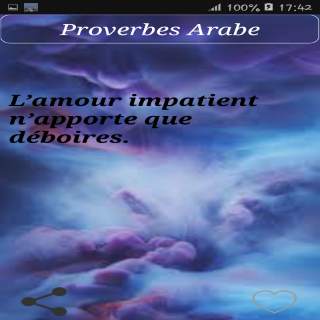 Proverbes Arabe screenshot 3