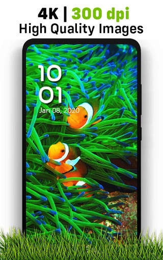 Auto Wallpaper Changer, Nature Wallpapers 4K screenshot 6