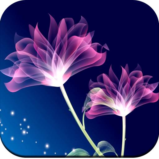3D Flower Wallpaper HD 1.02