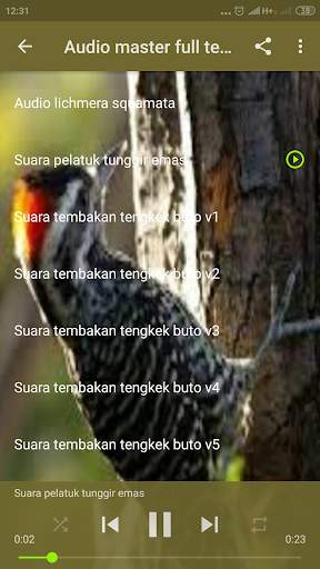 Audio Masteran Burung Tipe Nembak Kasar screenshot 4