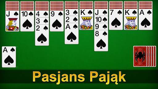 Pająk Pasjan screenshot 1