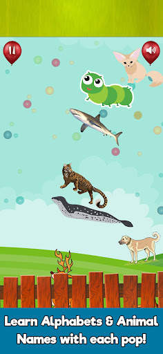 Bubble Pop : Gelembung Popper screenshot 6