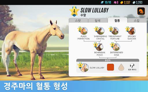 라이벌 스타 경마 screenshot 12