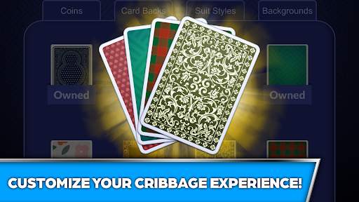 Cribbage Offline Card Game screenshot 3