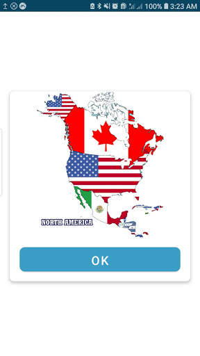 World National Flag Challenge screenshot 9