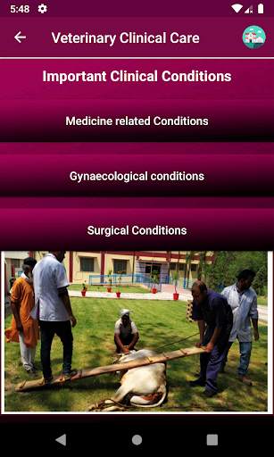IVRI-VeterinaryClinicalCare Ap 4 تصوير الشاشة