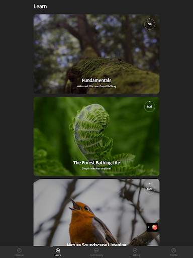 Forest Bathing Life screenshot 14