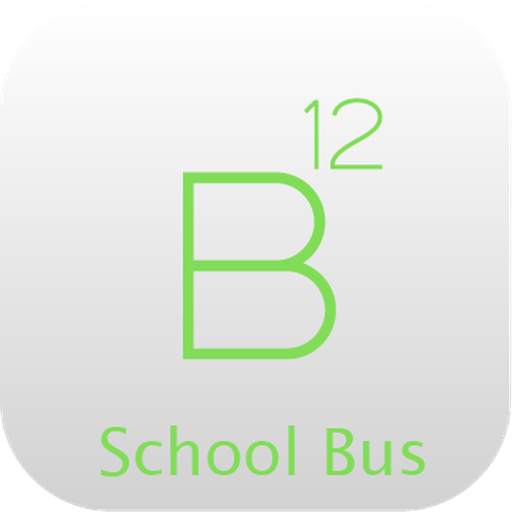B12 School Bus screenshot 1