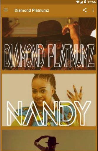 Diamond Platinum offline songs play screenshot 2