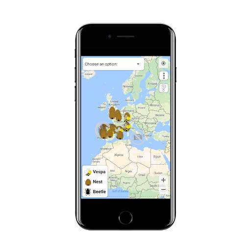 Vespa Velutina screenshot 8