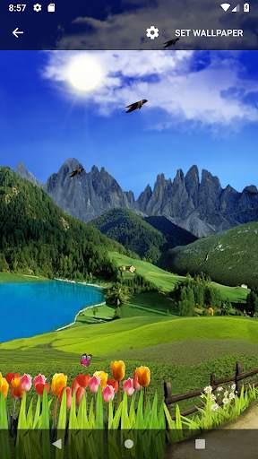 Mountain Live Wallpaper screenshot 7