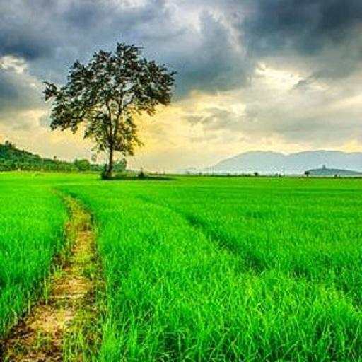 Beauty Nature Wallpaper 2.3.0