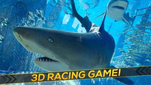 2017 Shark Simulator 3D screenshot 7