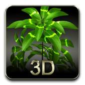 My 3D plant 2.6