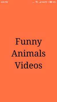 Funny Animal Compilation Videos screenshot 1