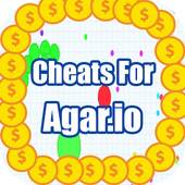 Hack For Agar.io New- Prank 1.0.0