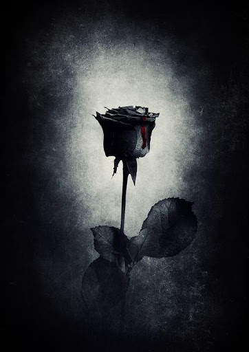 Black HD Walpaper screenshot 3