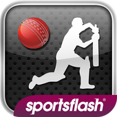 Howzat - World Cricket icon