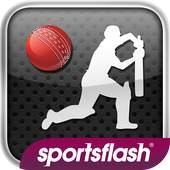 Howzat - World Cricket 0.2