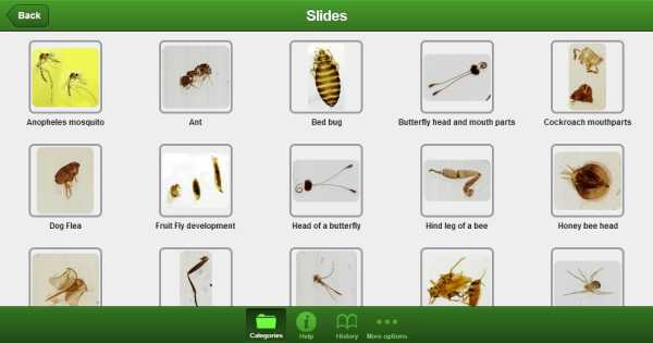 smart Microscope Lite screenshot 8