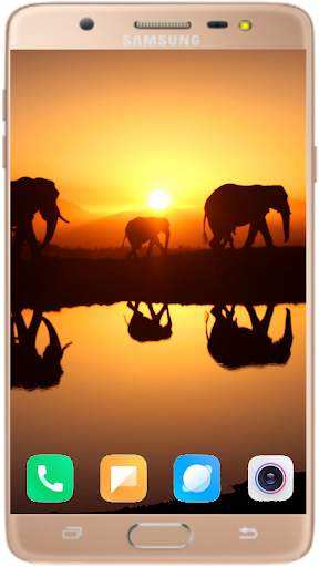 Elephant Wallpaper Best HD screenshot 3