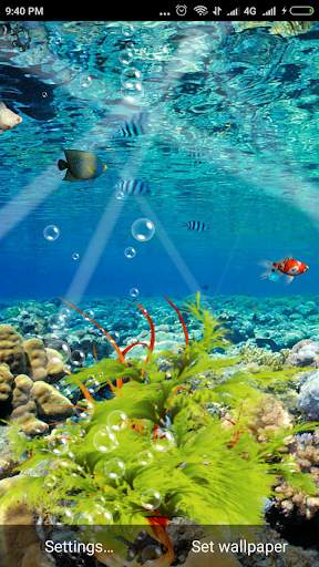 Magic Aquarium Live Wallpaper screenshot 4