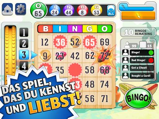 Bingo™ screenshot 2