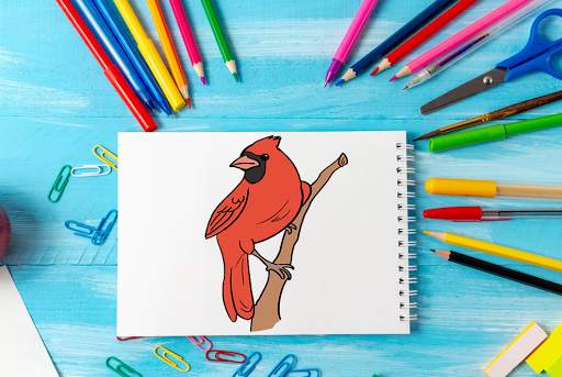 How To Draw Birds New screenshot 6