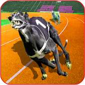 Real Dog Racing Championship