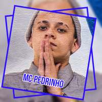 MC Pedrinho Todas as músicas sem internet on 9Apps