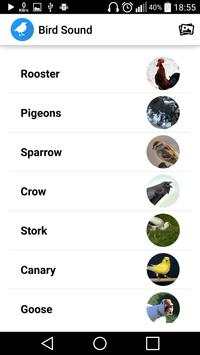 Bird Sounds screenshot 7