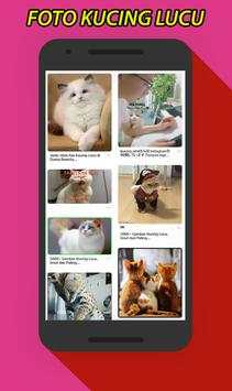 Gambar Foto Kucing Lucu screenshot 4