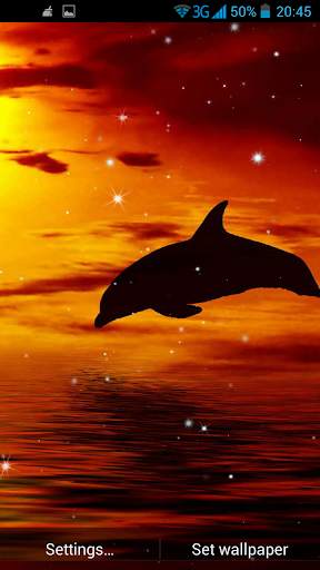 Dolphin 3D Live Wallpaper screenshot 5