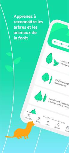 Clés de forêt скриншот 1