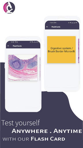 Medicos Histology:Anatomy histology figure & guide screenshot 4
